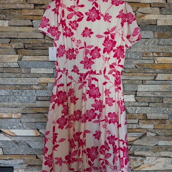 Dress, Floral Red/Pink and White NWT, Size S - Picture 4 of 5